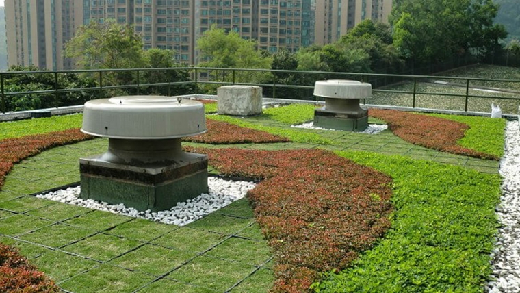 Green Roof System