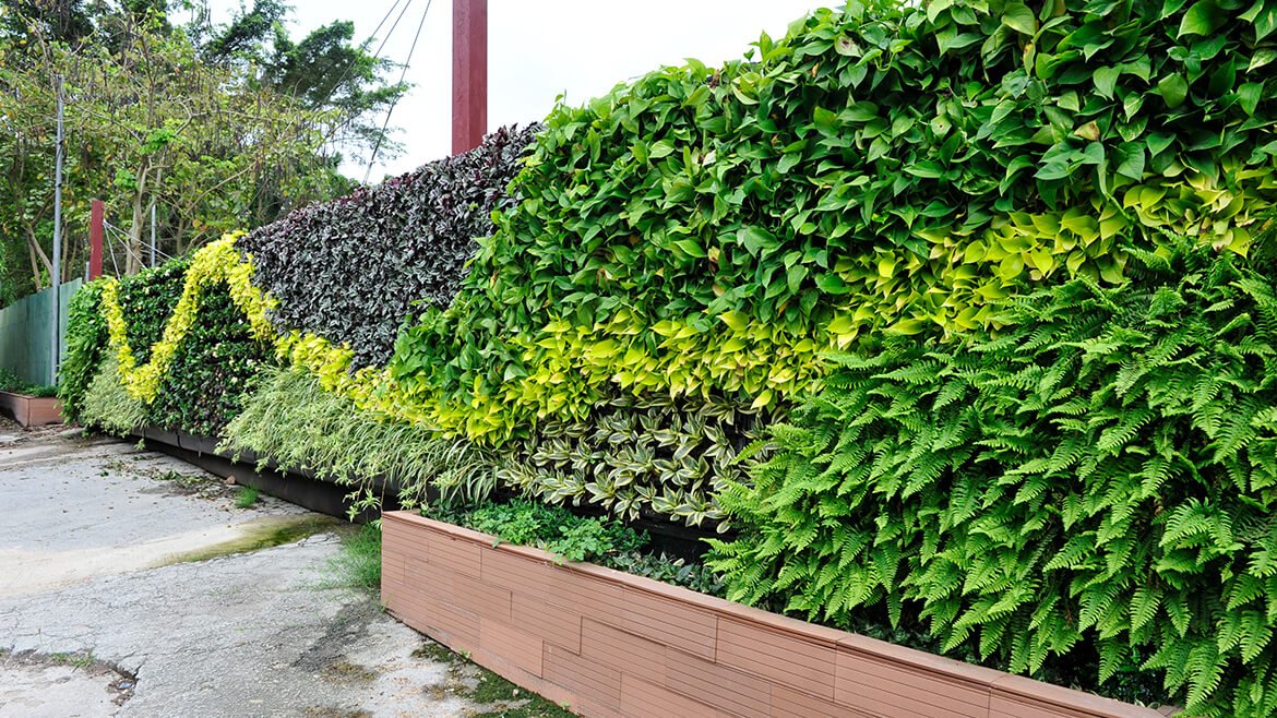 Green Wall System